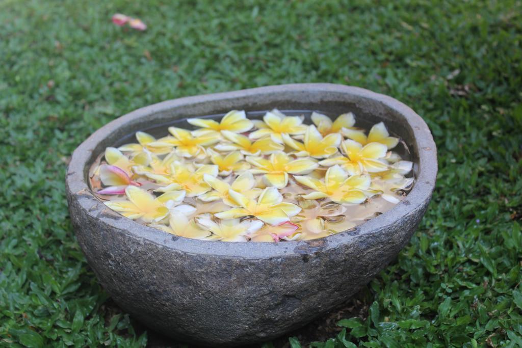 Odah Ayu Guest House Ubud Dış mekan fotoğraf